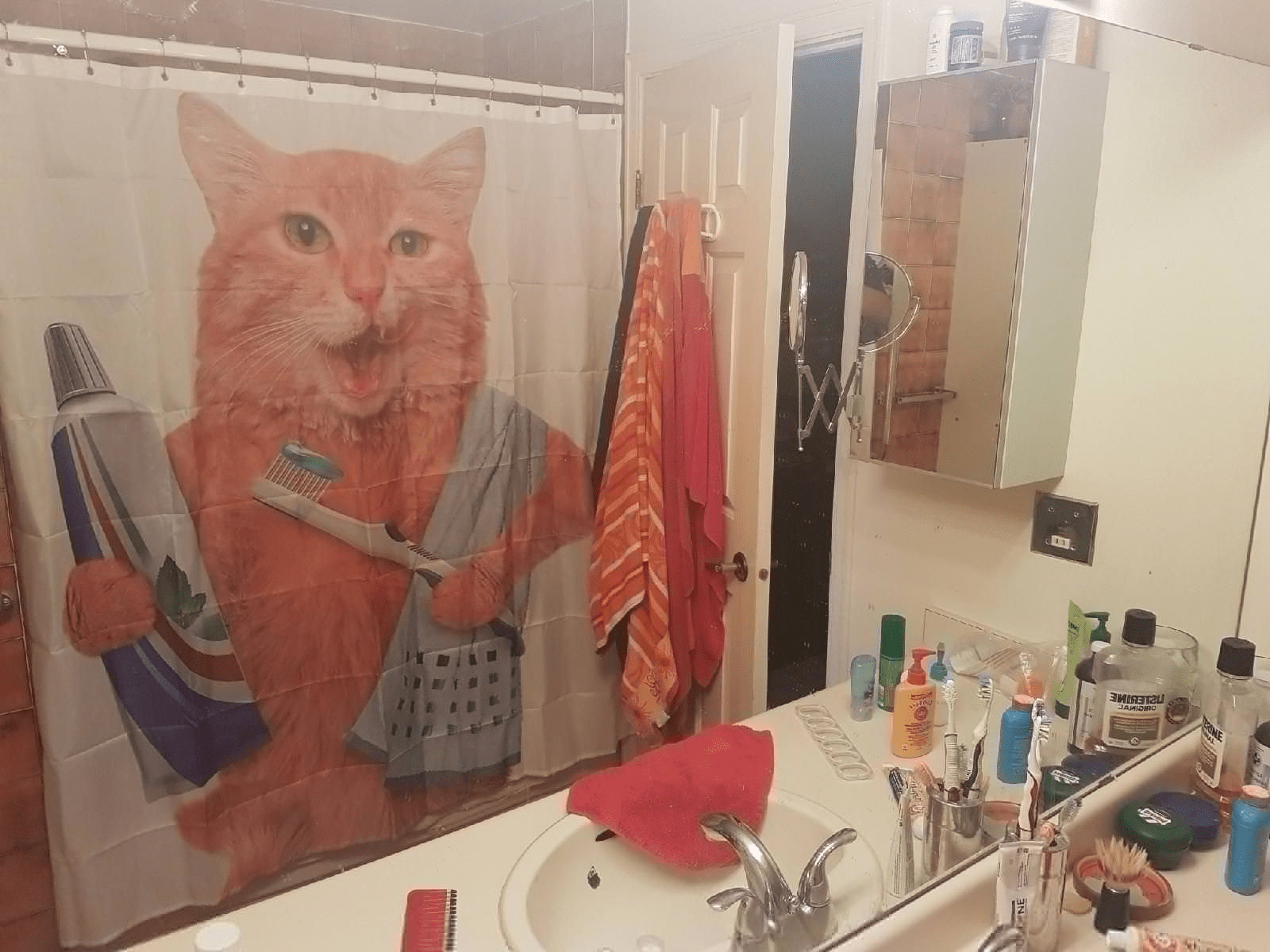 15 Hilarious Shower Curtains that will make you laugh out loud