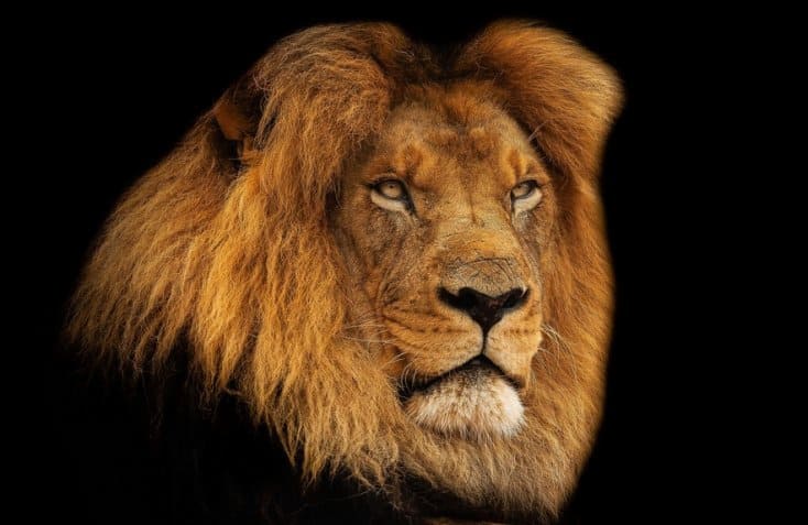 Zodiac Signs And Cheating-5 Zodiac Signs That Are Most Likely To Cheat