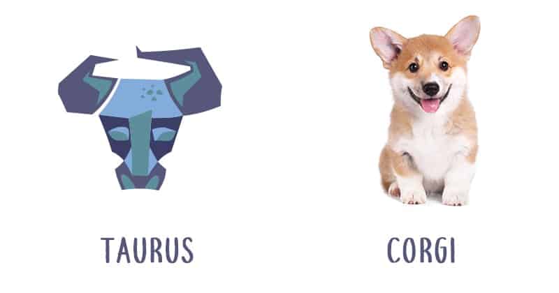 Image Source: Shutterstock