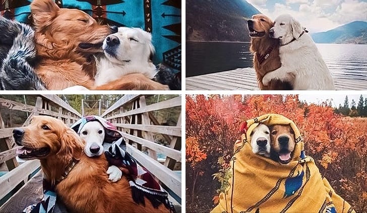 photos with emotional stories