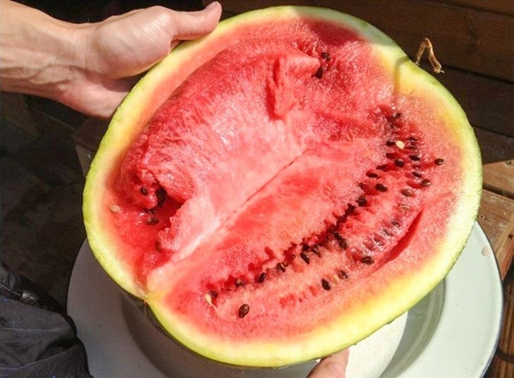 8 Ways to find nitrate in watermelon