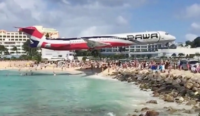 20+ perfectly timed photos