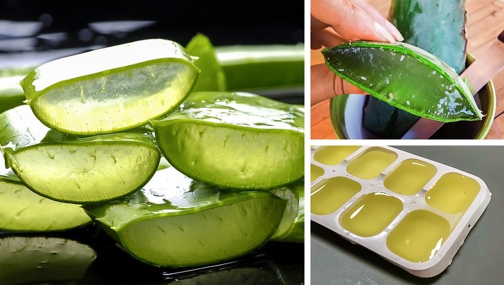 7 Uses Of Aloe Vera That Can Make Your Life Easier