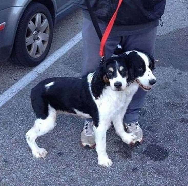 15 Perfectly Timed Pictures That Will Make You Look Twice