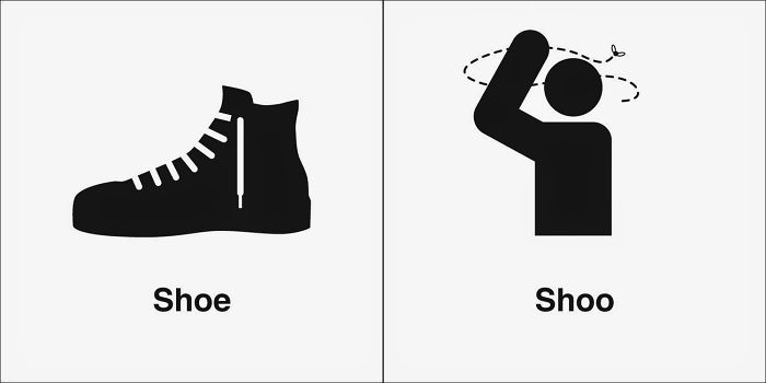 Shoe, Shoo
