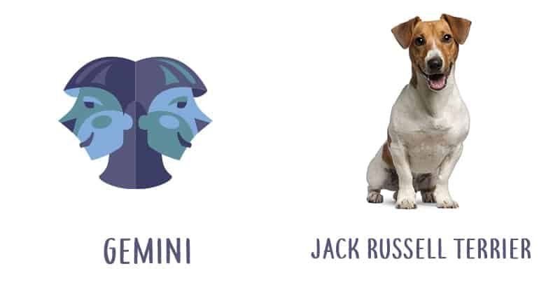 Image Source: Shutterstock