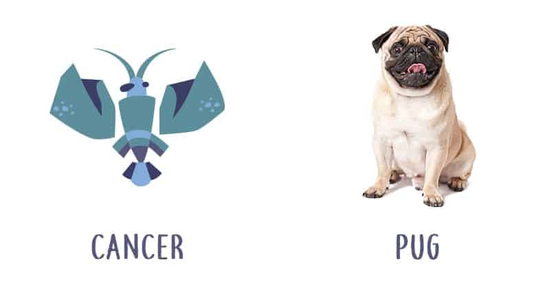 Image Source: Shutterstock