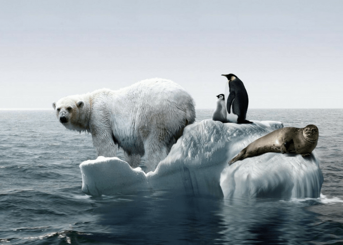 5 Unbelievable Facts That Are Actually True