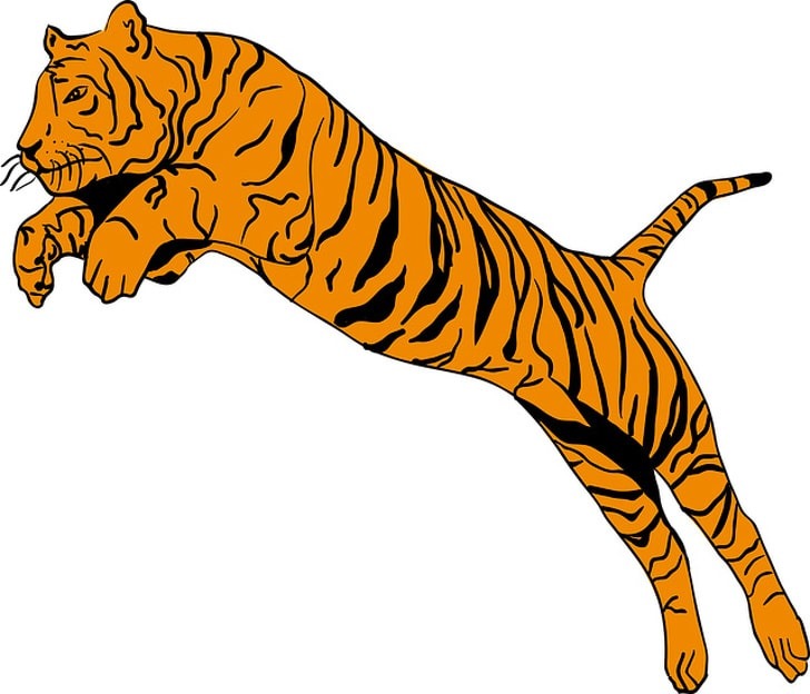 6 Animals reveal about your personality