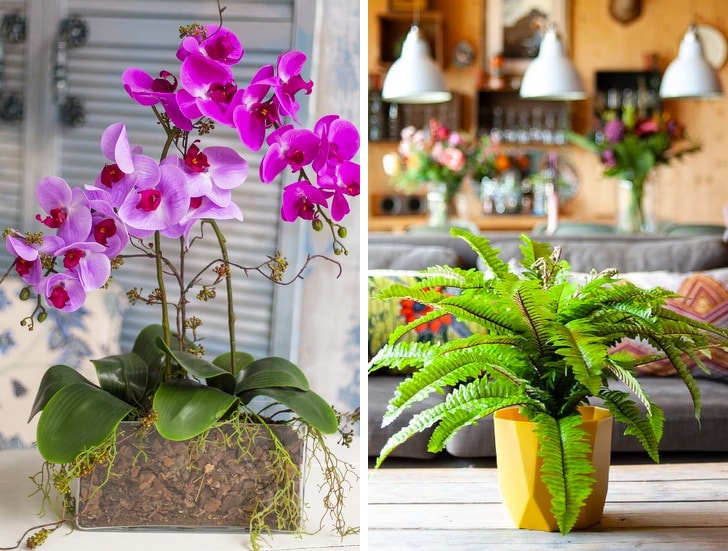 10 Things you should not keep in your home