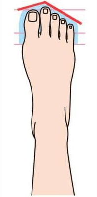 Types of feet and what they reveal about your personality