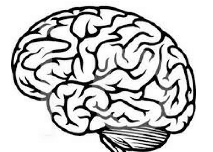 5 Unbelievable Facts That Are Actually True