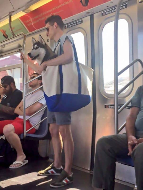 The 20 Weirdest Subway Moments That Will Make You Laugh