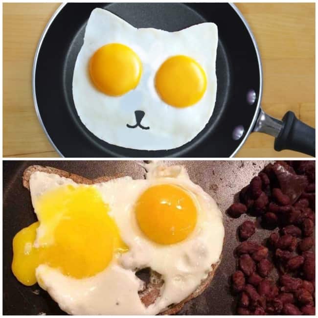 20 Funny Order Fails