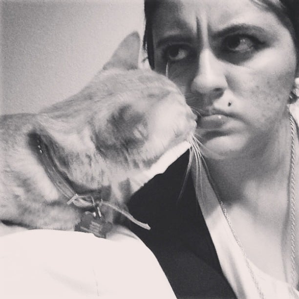 welcome the moody days