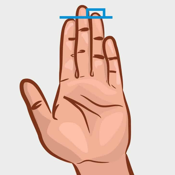 finger length can reveal your personality