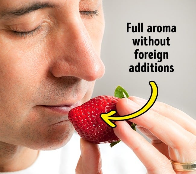 choose the right strawberry