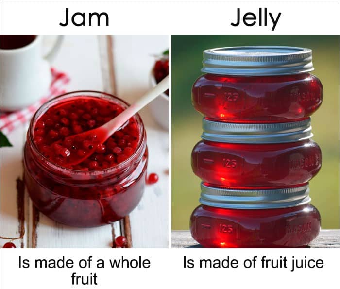 20+Common words or things that sound similar but mean different things