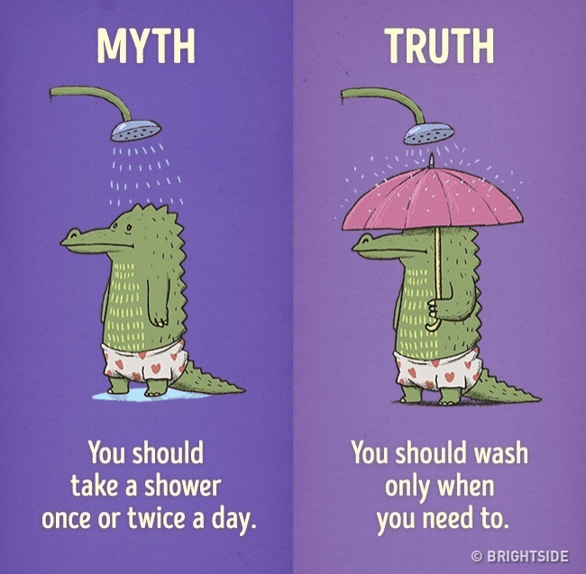  Regular habits myth vs reality-12 Bad habits you need to quit right away