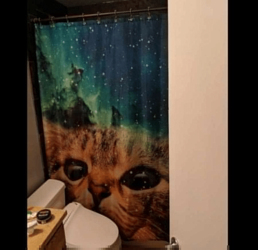 15 Hilarious Shower Curtains that will make you laugh out loud
