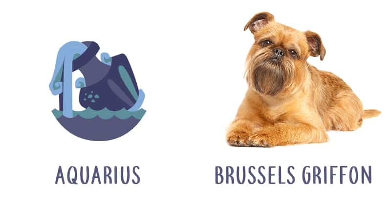 Image Source: Shutterstock