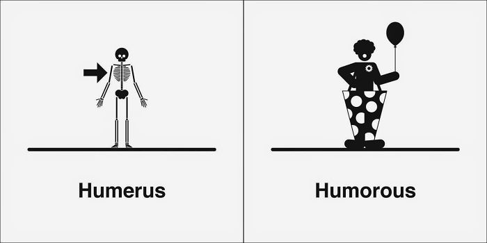 Humerus, Humorous