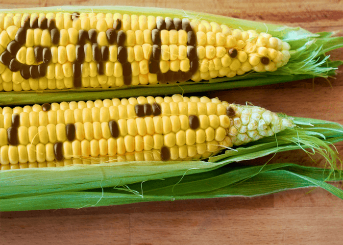 5 Unbelievable Facts That Are Actually True