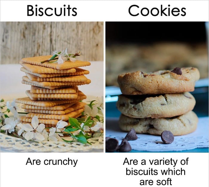 20+Common words or things that sound similar but mean different things