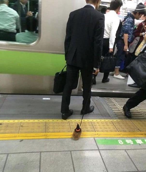 The 20 Weirdest Subway Moments That Will Make You Laugh
