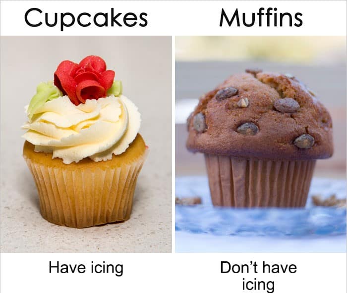 20+Common words or things that sound similar but mean different things