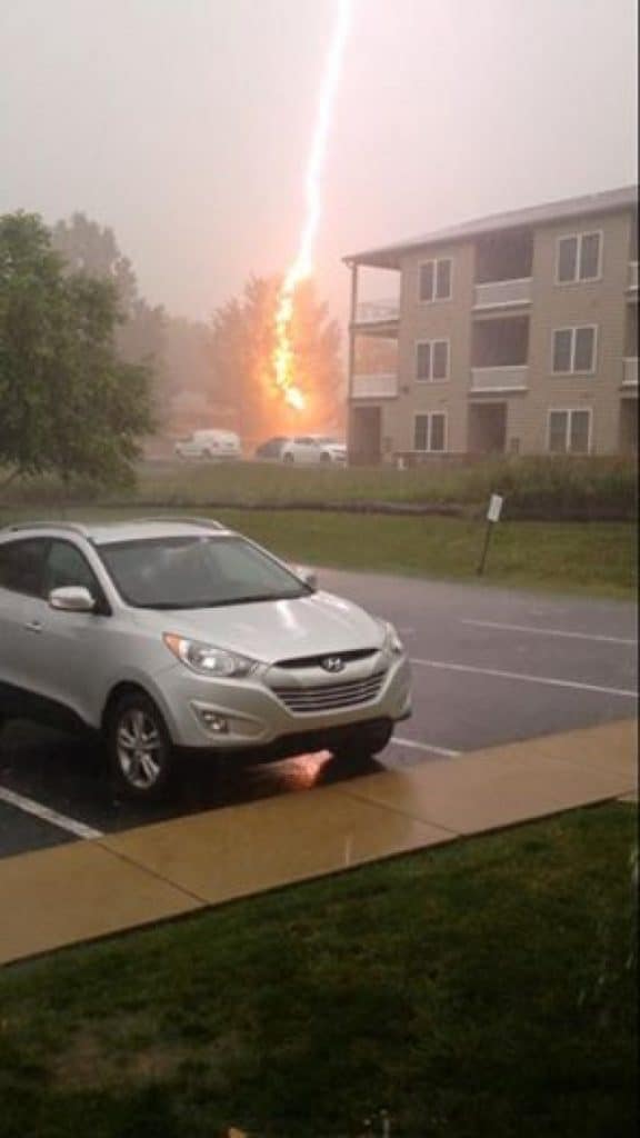 20+ perfectly timed photos