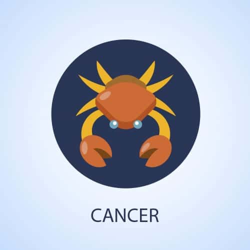 Image Source: Shutterstock