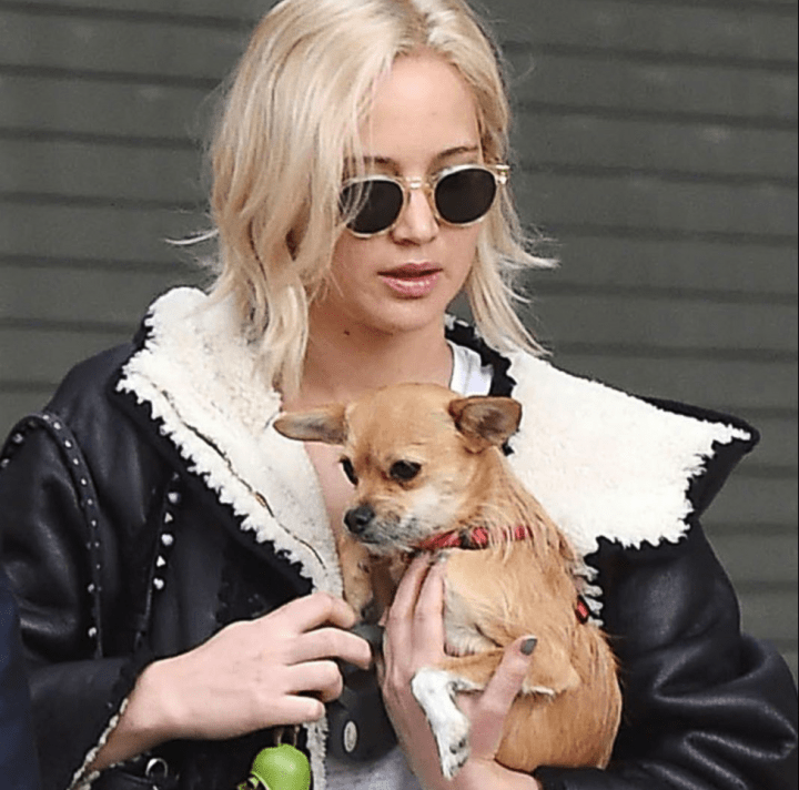 celebrities daily routine dresses