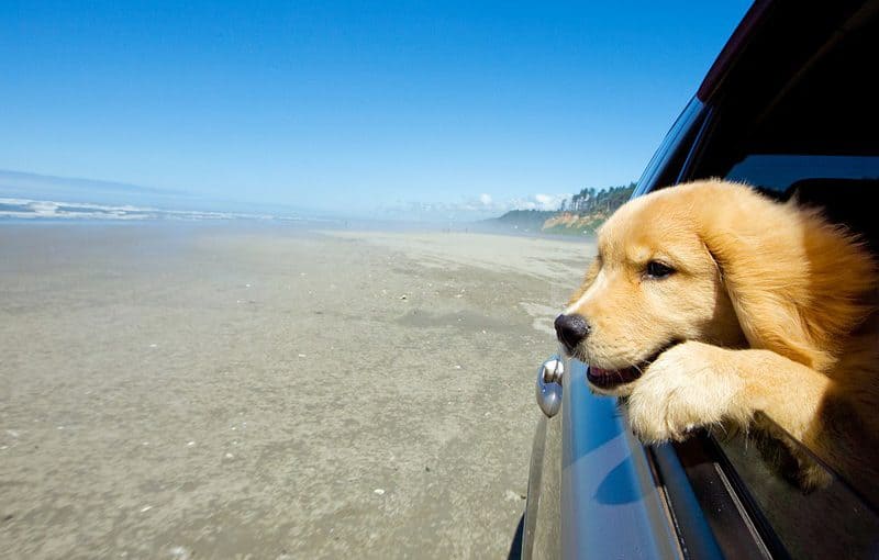 Things to do in turkey that will sink into your soul