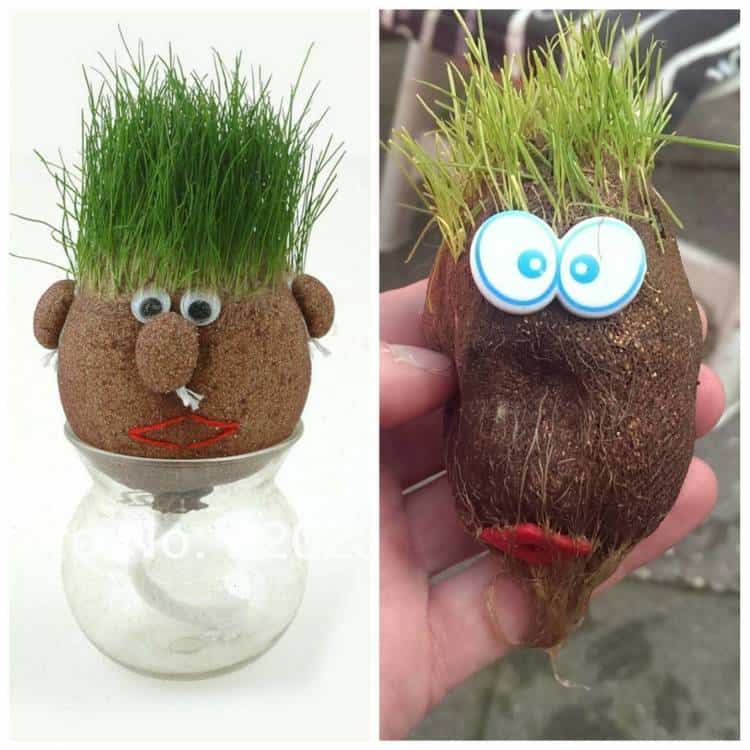 Funny expectations and reality