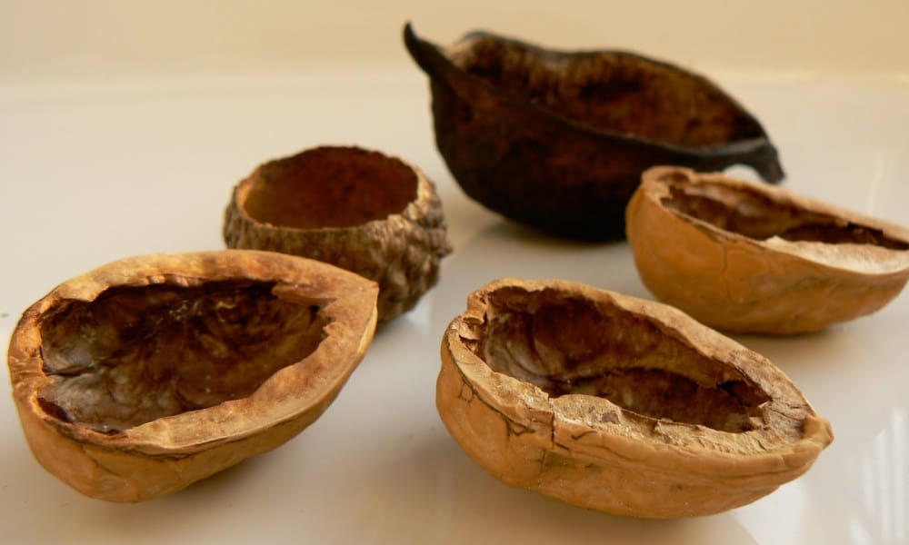 Dye your hair naturally