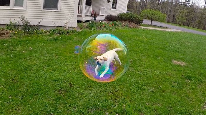  Perfectly Timed Pictures