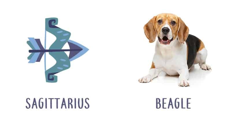 Image Source: Shutterstock