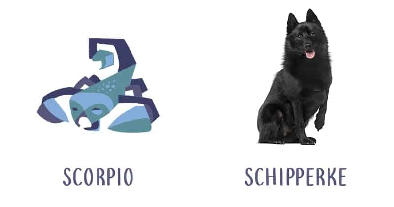 Image Source: Shutterstock