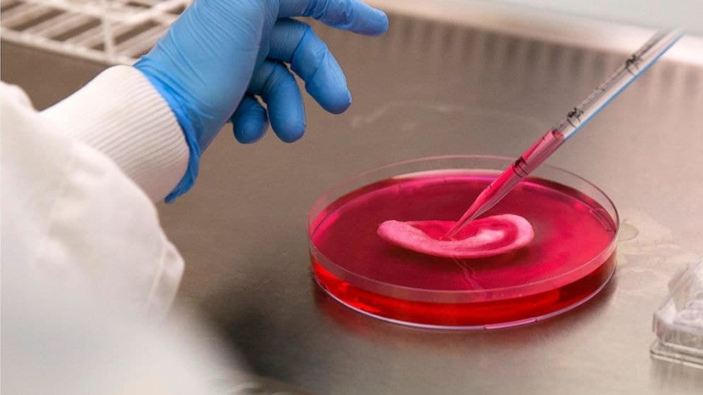 14 Future Inventions that the Scientists have been working on