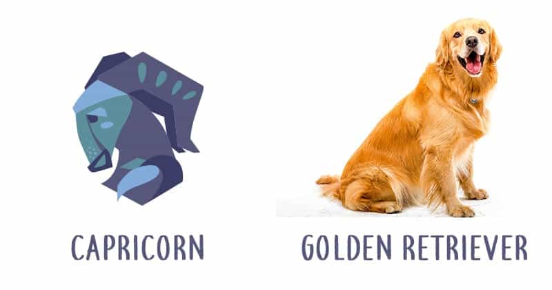 Image Source: Shutterstock