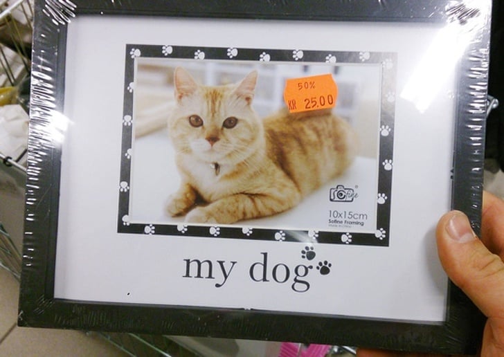 Hilarious Supermarket Fails