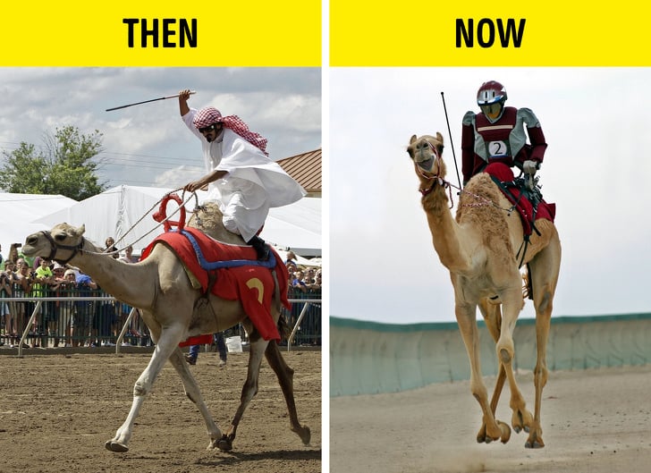 Interesting facts about Dubai you did not know