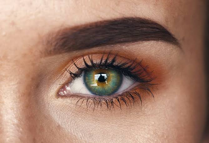 Essential Eyebrow Care Tips For Men And Women