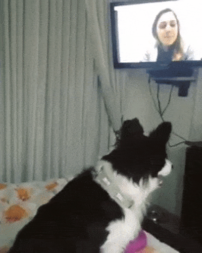 photos with emotional stories