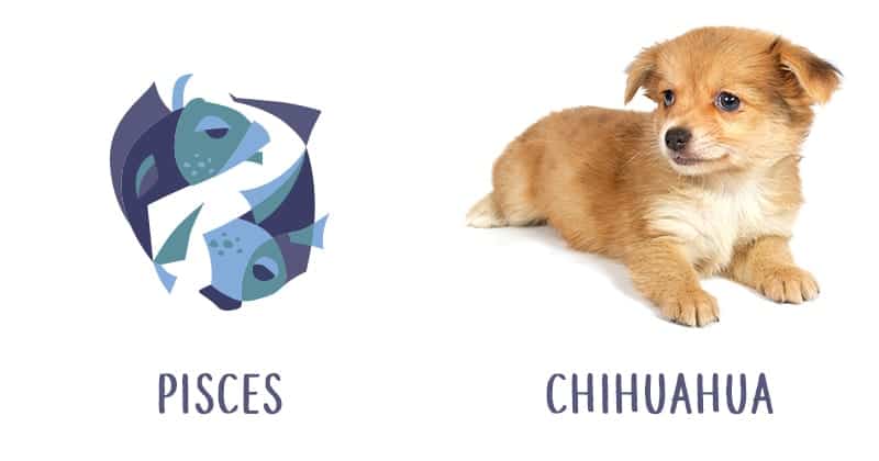 Image Source: Shutterstock