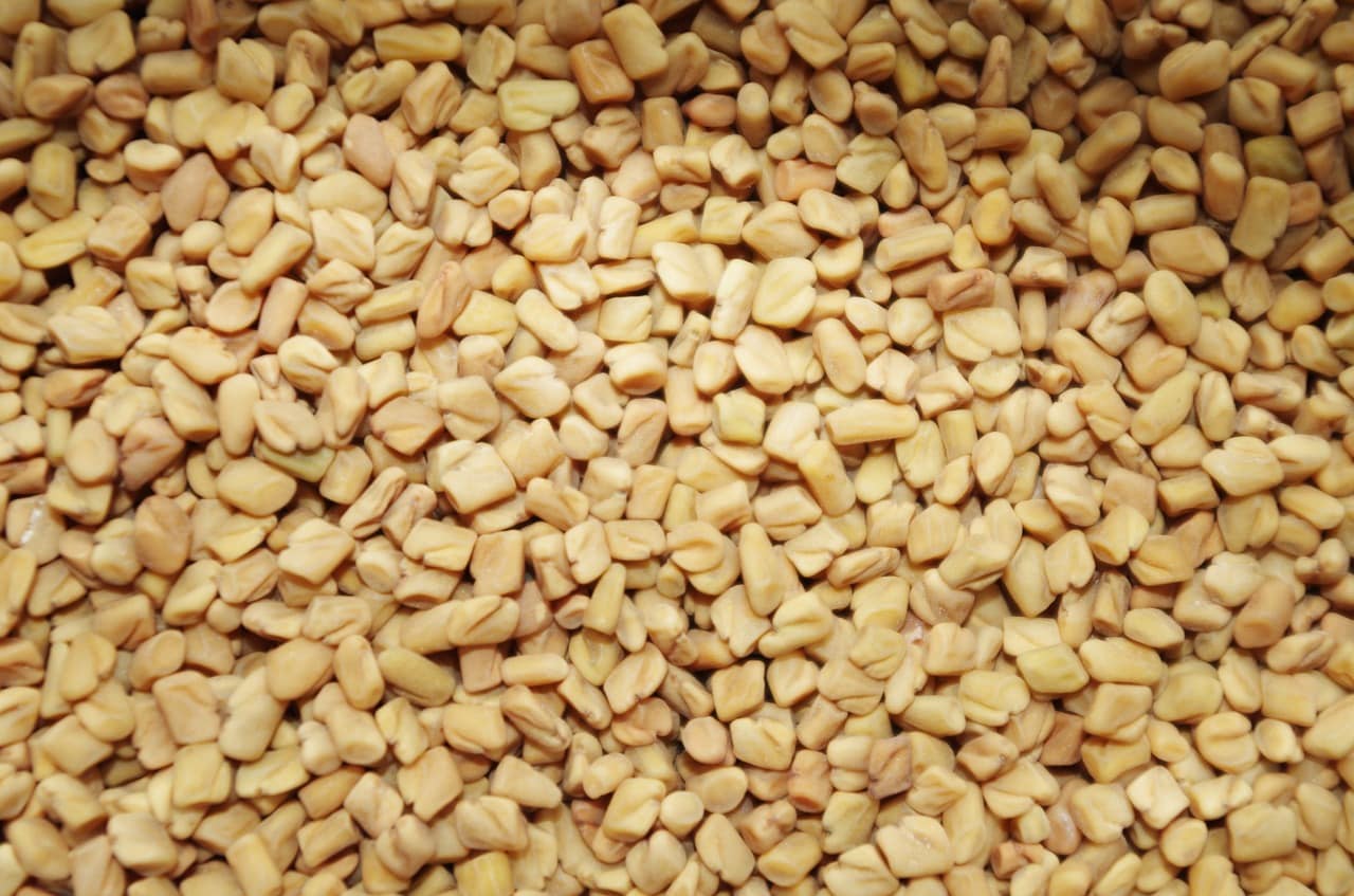 Fenugreek seeds for hair