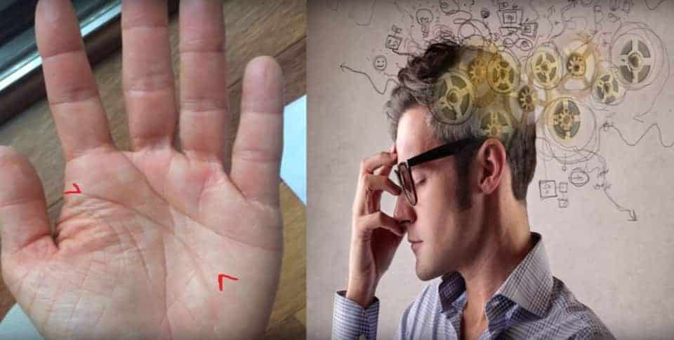 Your palm lines hold the secret of your life