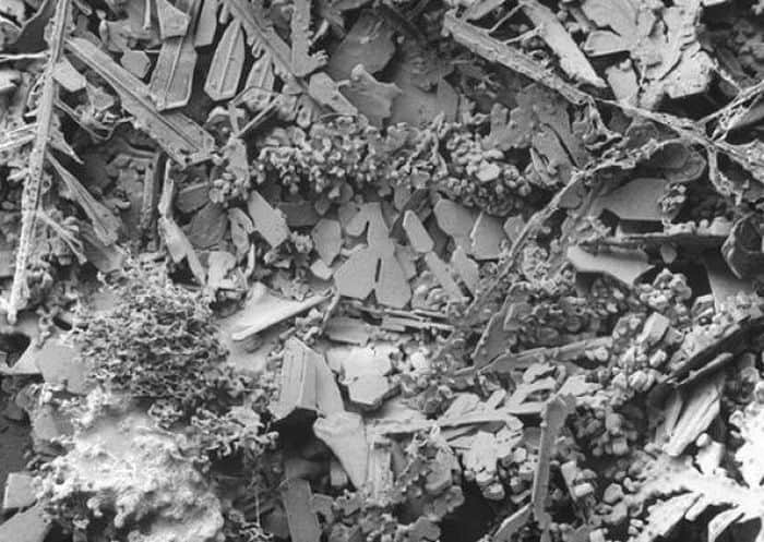 microscopic things: Things Seems Differently Under Microscope