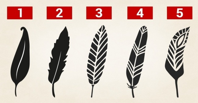 5 Feather pens reveal your personality